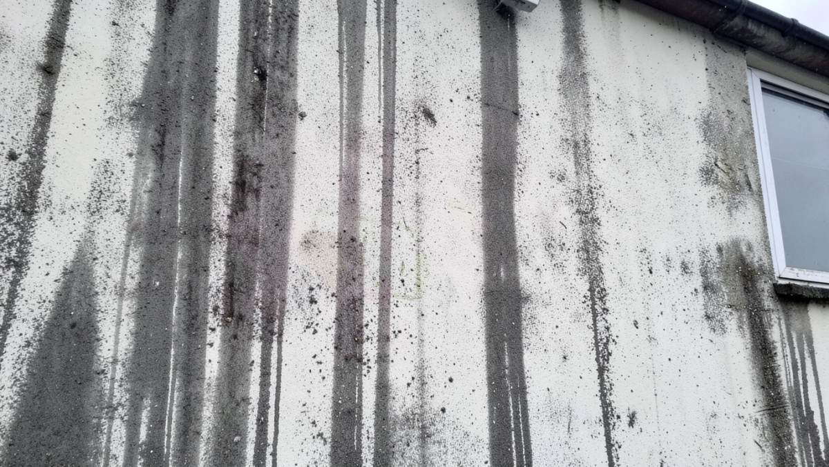 APC OUT Mycie elewacji