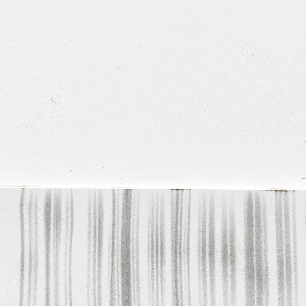 Czy biała elewacja się brudzi