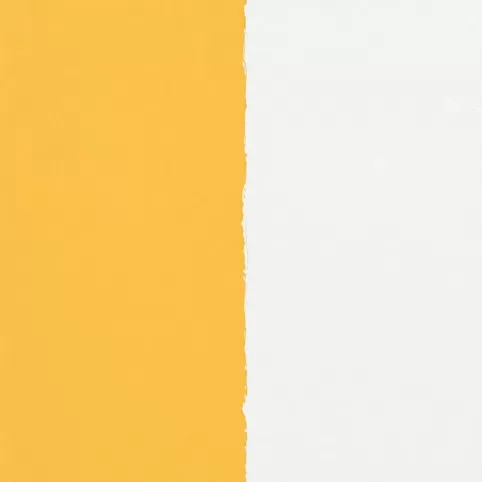 Malowanie elewacji czy gruntować