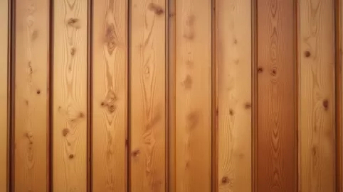 Modrzew Syberyjski elewacja cena m2