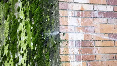 Mycie Elewacji Z Glonów