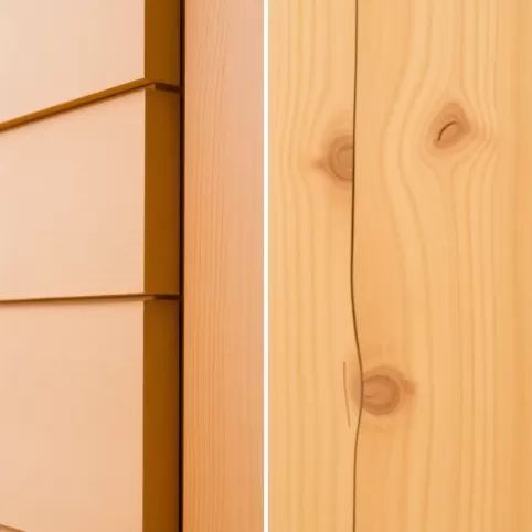 Świerk czy sosna na elewację